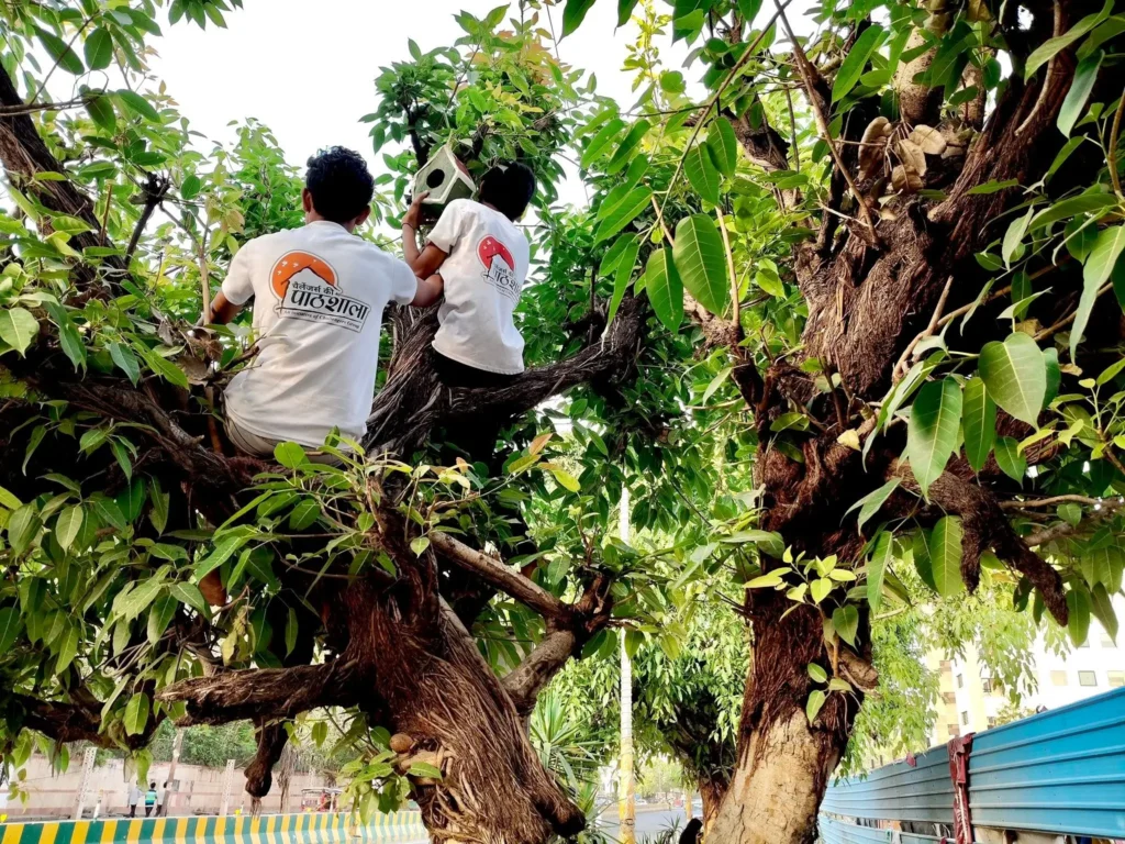 Challengers Group volunteers install a bird shelter on a tree in Noida