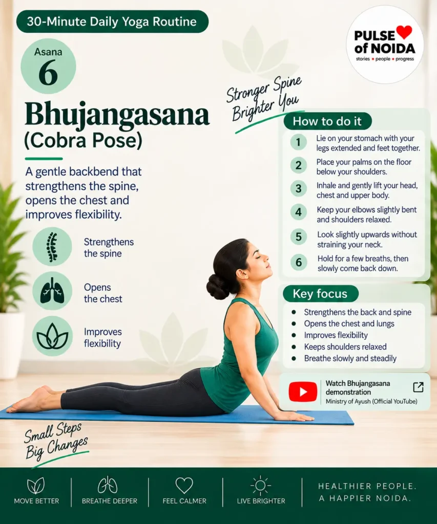 Bhujangasana or Cobra Pose illustrated step-by-step yoga guide