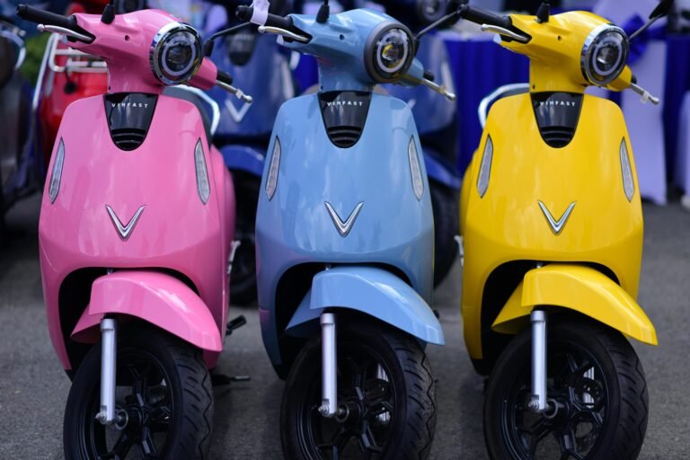 From Garages to Growth: The EV Makers of Sector 63