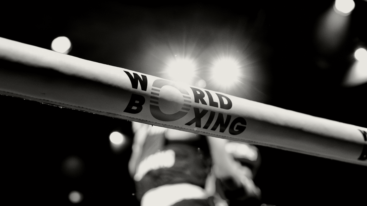 World Boxing Cup Finals 2025 ring branding with boxers in action at Greater Noida