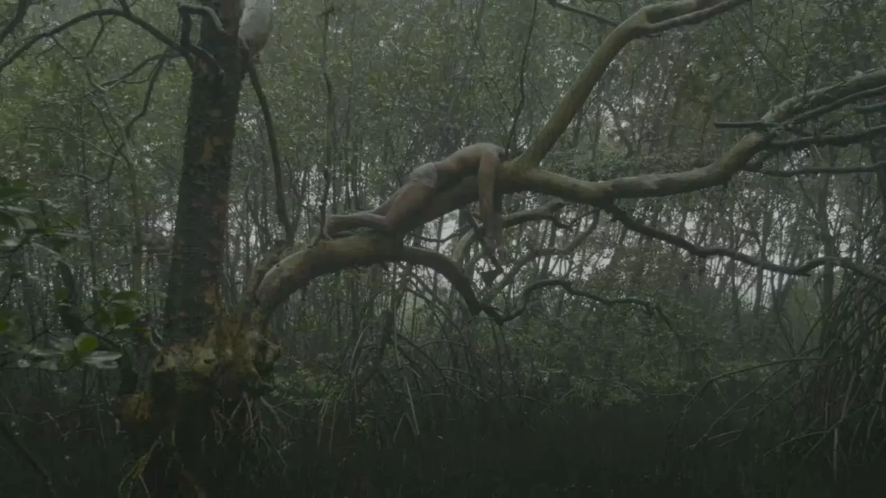 A human figure draped over a tree branch amid dense woodland.