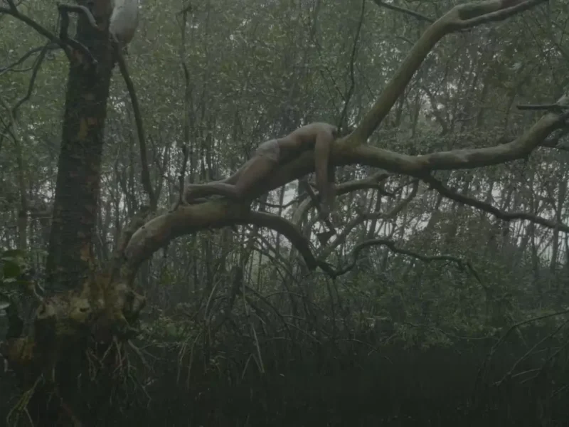 A human figure draped over a tree branch amid dense woodland.